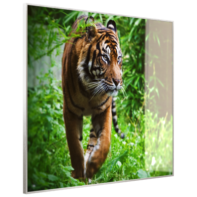 STEINFELD Deko Glas Wandbild Motiv 024 Tiger
