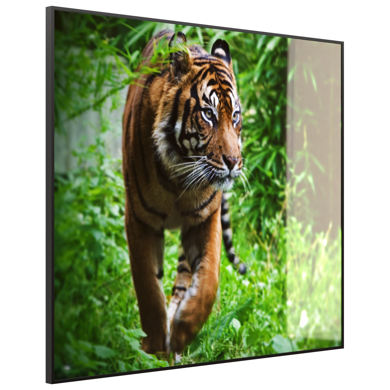 Deko Glas Wandbild Motiv 024 Tiger