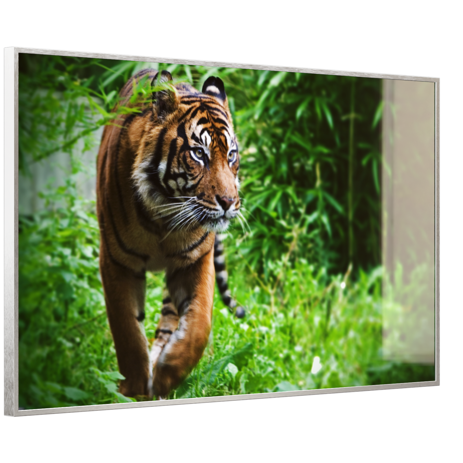 Deko Glas Wandbild Motiv 024 Tiger