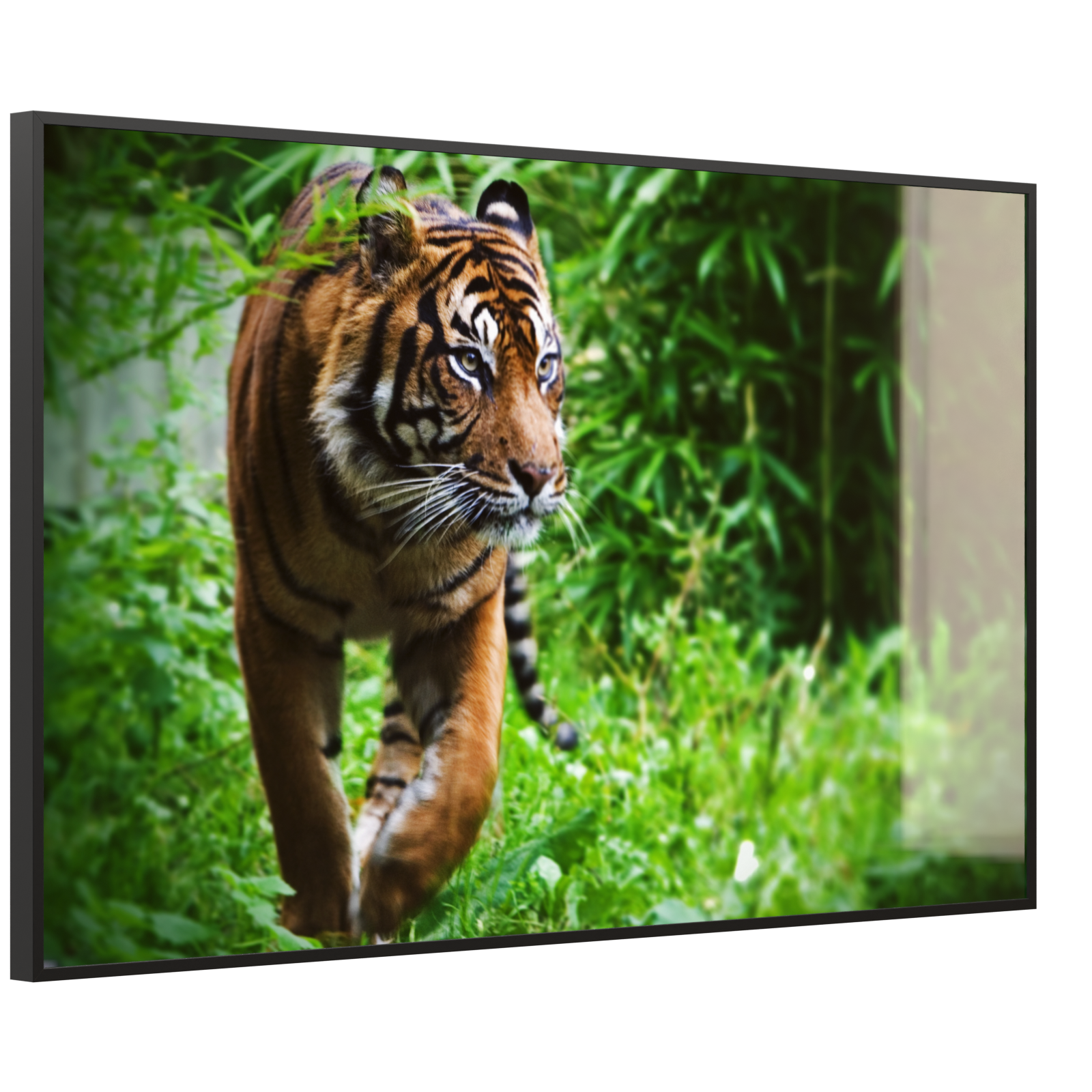 Deko Glas Wandbild Motiv 024 Tiger