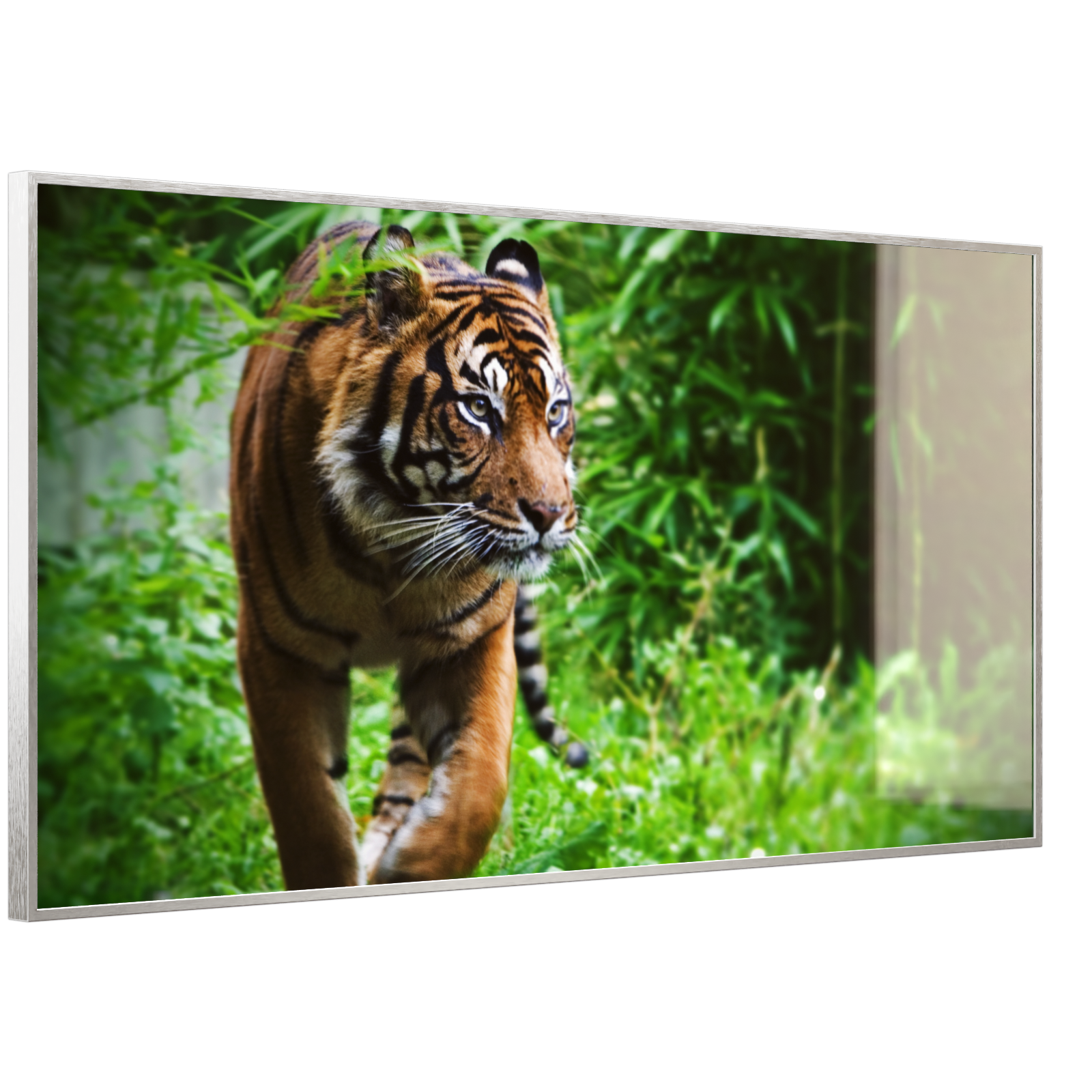 Deko Glas Wandbild Motiv 024 Tiger