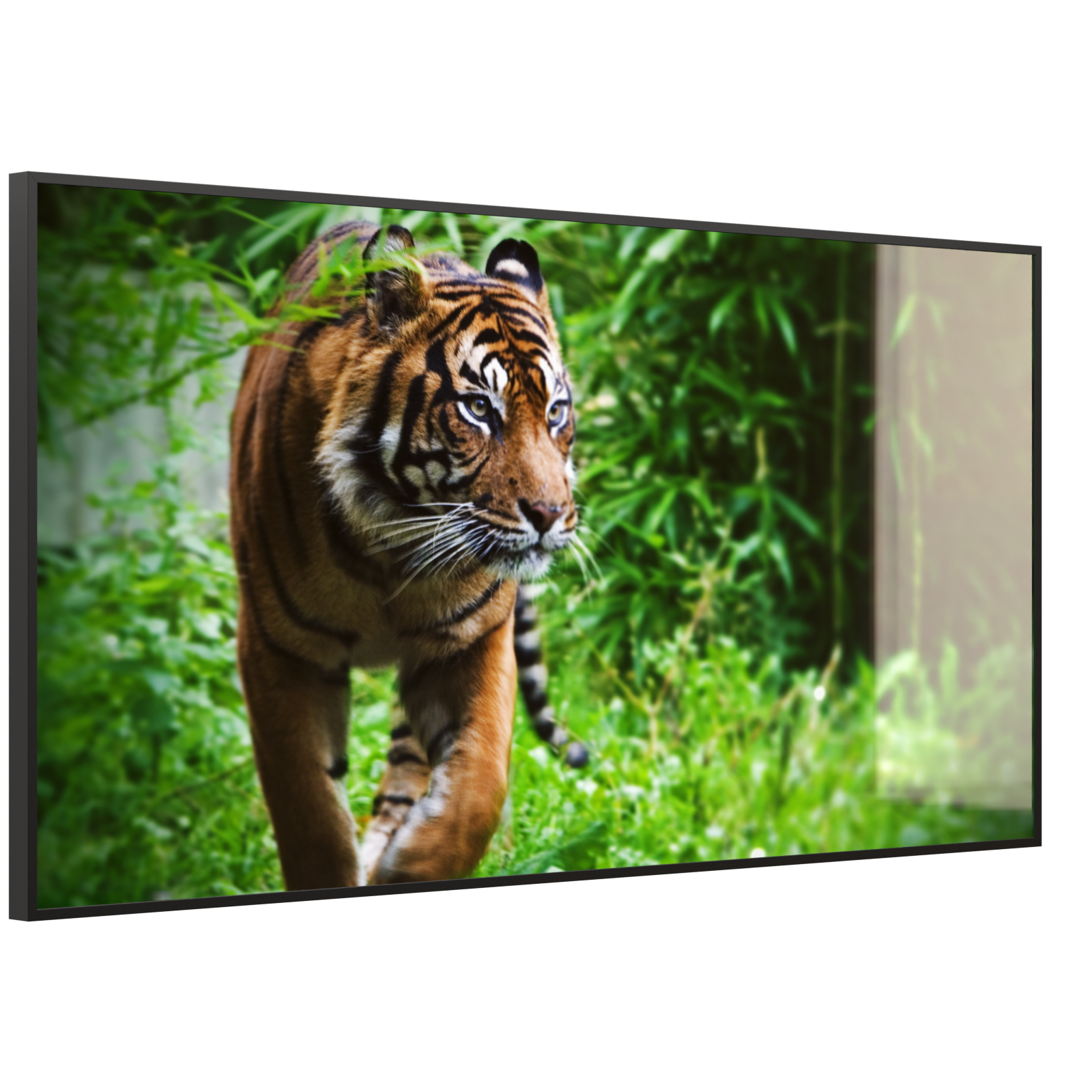 Deko Glas Wandbild Motiv 024 Tiger