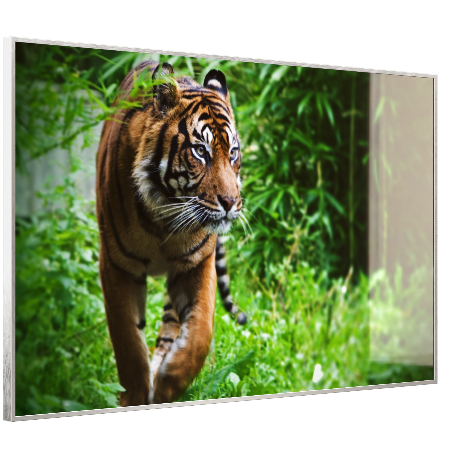 Deko Glas Wandbild Motiv 024 Tiger