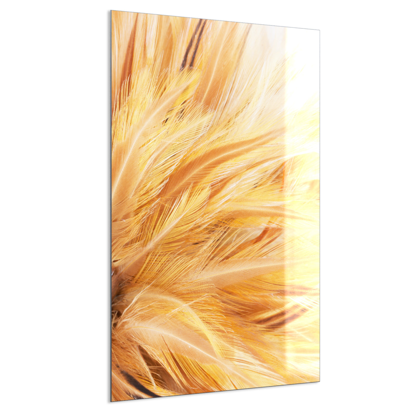 STEINFELD Deko Glas Wandbild Motiv 028H Federn