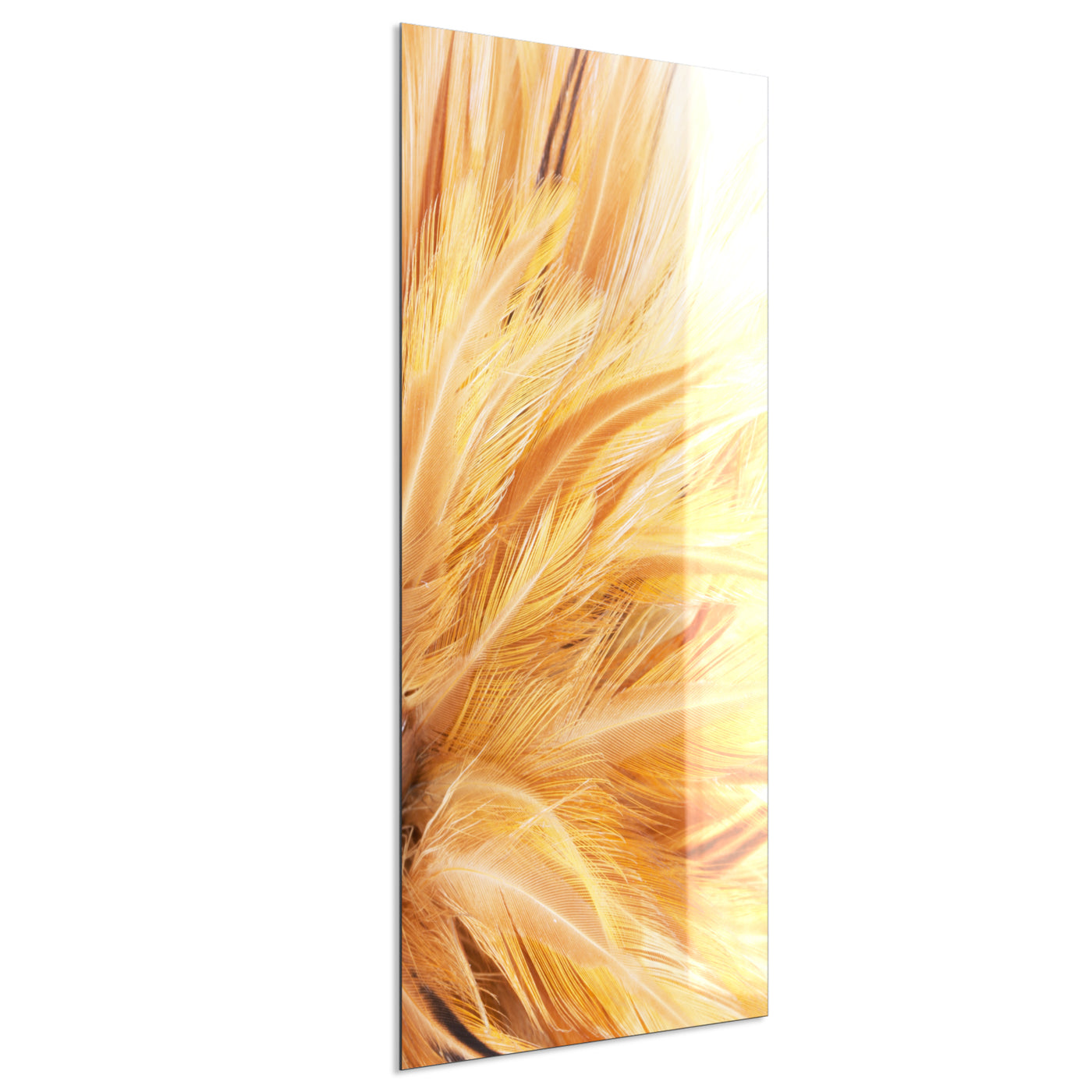 STEINFELD Deko Glas Wandbild Motiv 028H Federn