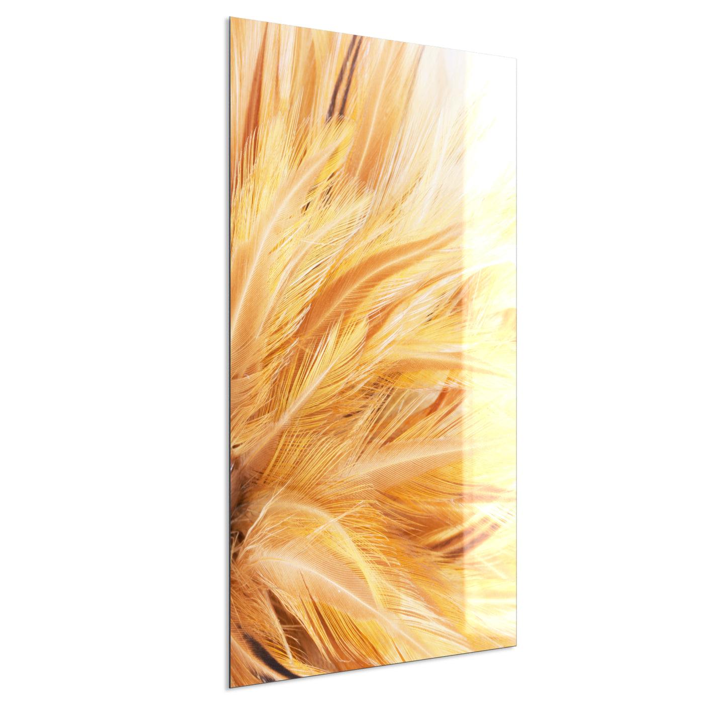STEINFELD Deko Glas Wandbild Motiv 028H Federn