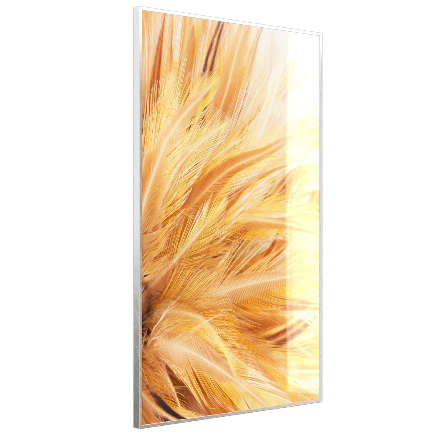 STEINFELD Deko Glas Wandbild Motiv 028H Federn