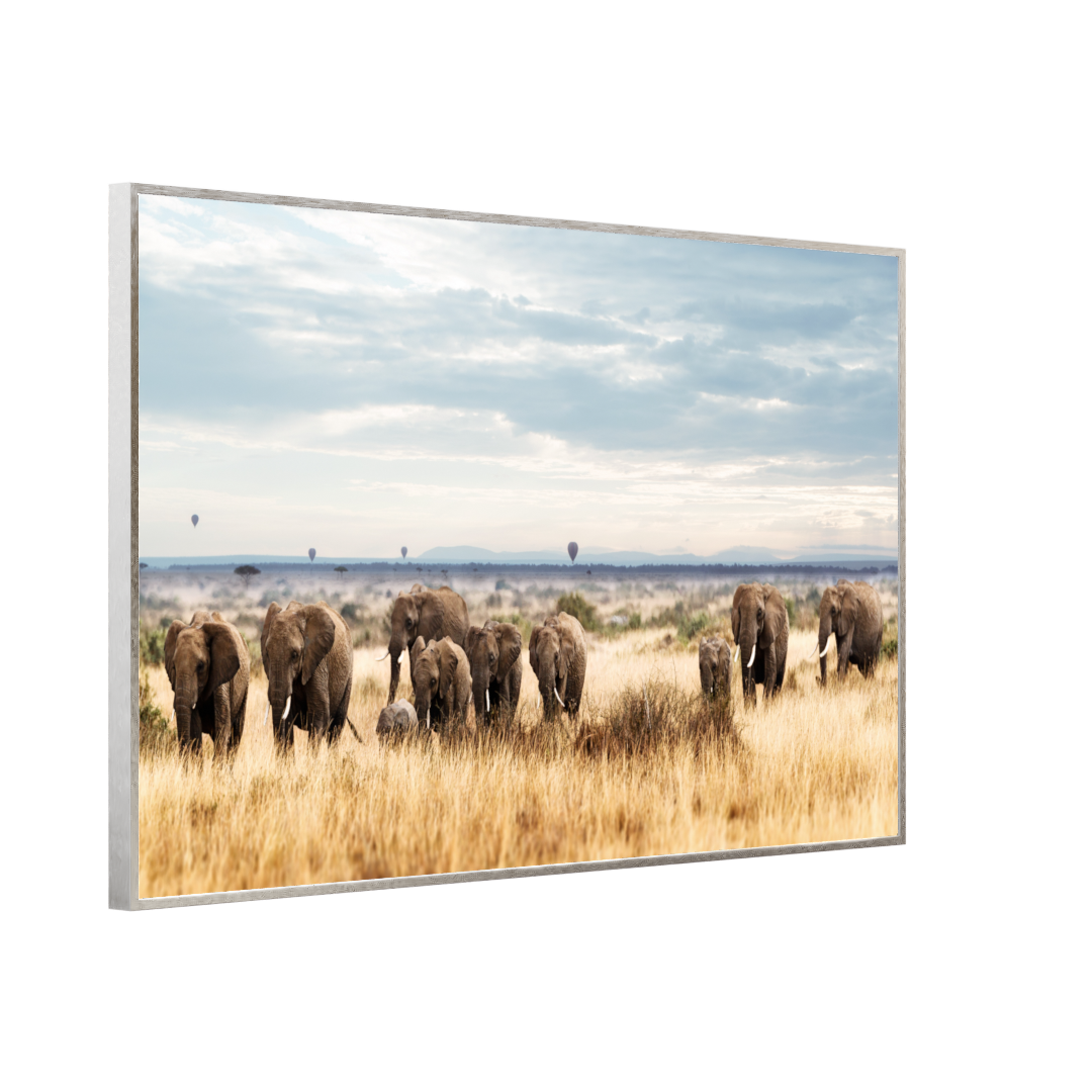 STEINFELD Bild Infrarotheizung 350-1200W Motiv 002 Elefanten