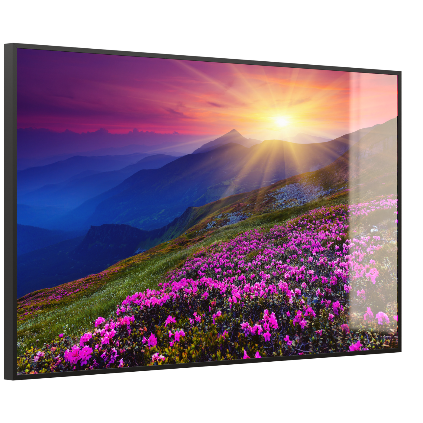 STEINFELD Deko Glas Wandbild Motiv 033 Sommerberg