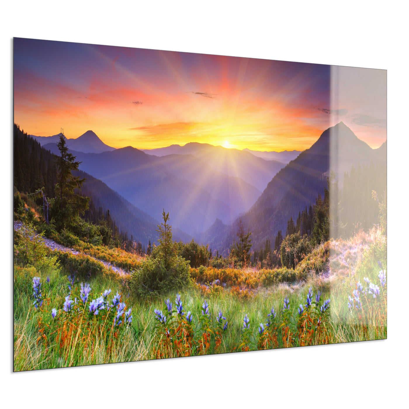 STEINFELD Deko Glas Wandbild Motiv 034 Sonnenuntergang