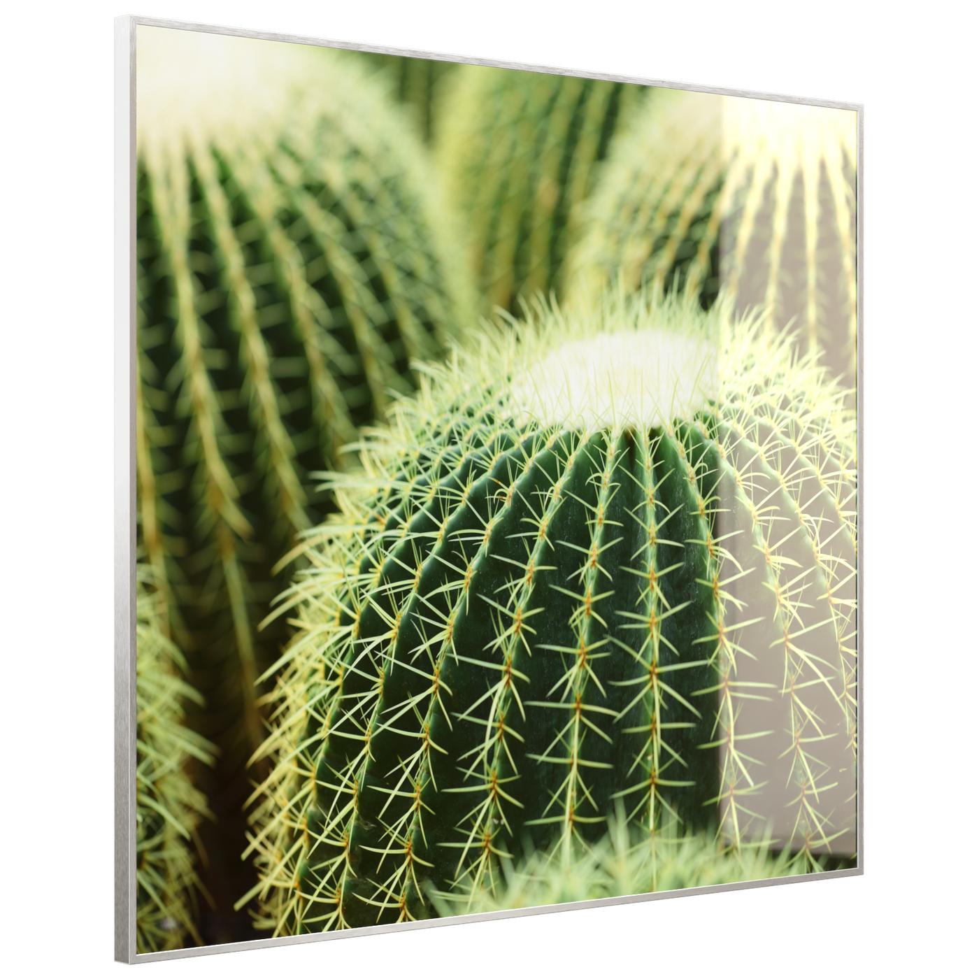 STEINFELD Deko Glas Wandbild Motiv 035 Kaktus