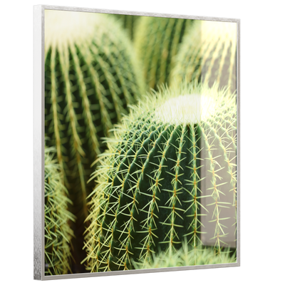 STEINFELD Deko Glas Wandbild Motiv 035 Kaktus