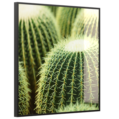 STEINFELD Deko Glas Wandbild Motiv 035 Kaktus