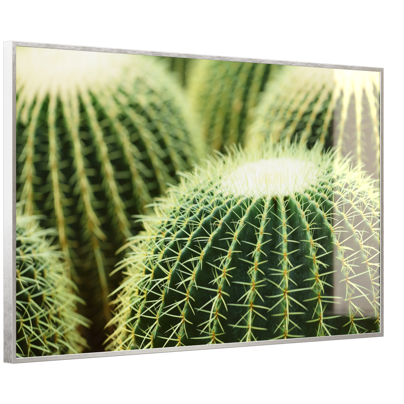 STEINFELD Deko Glas Wandbild Motiv 035 Kaktus
