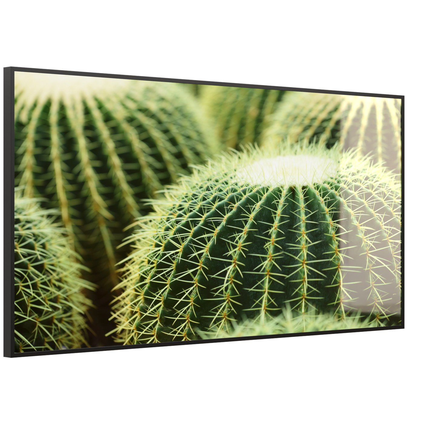 STEINFELD Deko Glas Wandbild Motiv 035 Kaktus