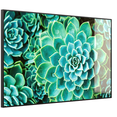 STEINFELD Deko Glas Wandbild Motiv 036 Kaktus in Queen