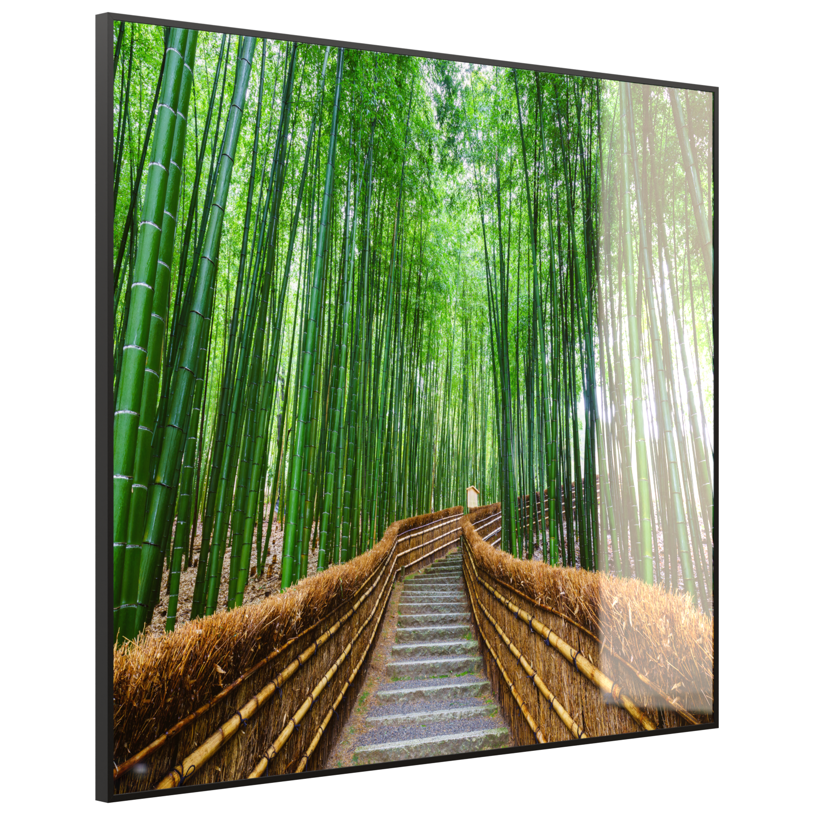Deko Glas Wandbild Motiv 037 Bambus Wald