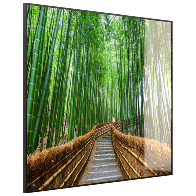 STEINFELD Deko Glas Wandbild Motiv 037 Bambus Wald