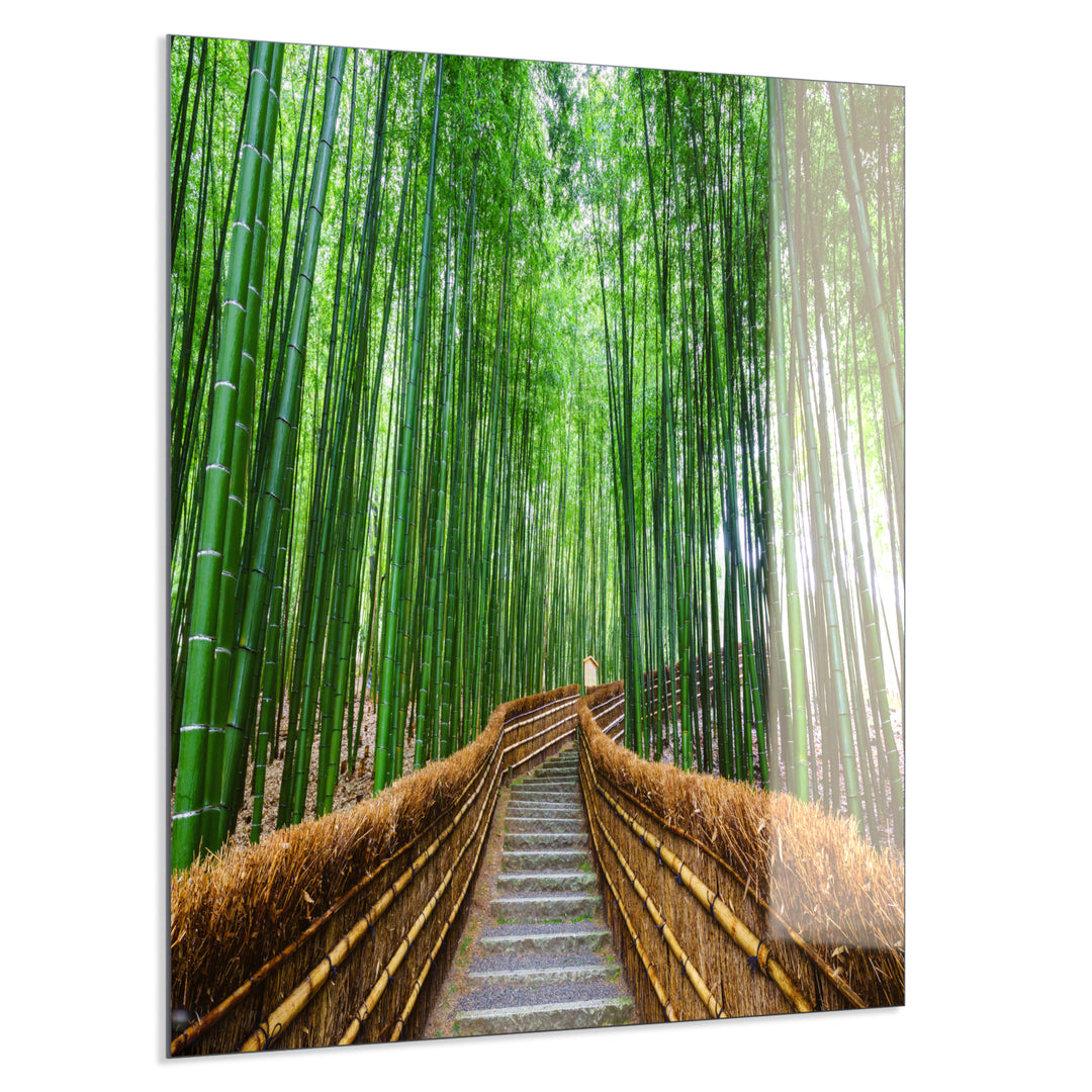 Echt-Glas XXL Wandbild Bambus Wald