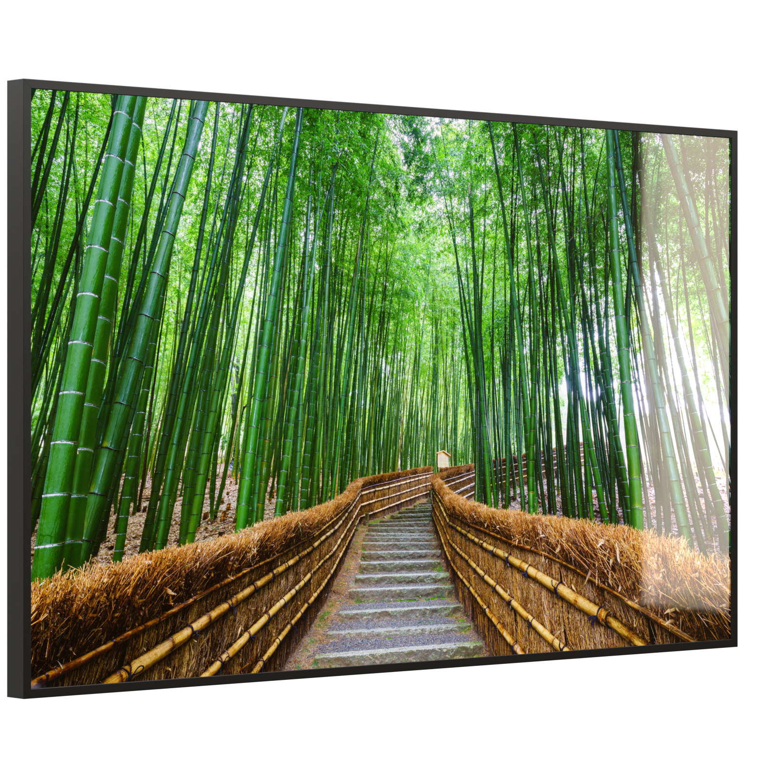 Deko Glas Wandbild Motiv 037 Bambus Wald