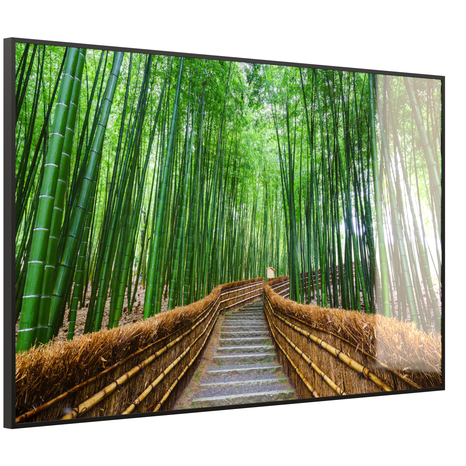 Deko Glas Wandbild Motiv 037 Bambus Wald