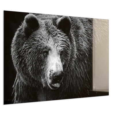 STEINFELD Deko Glas Wandbild Motiv 038 Bär