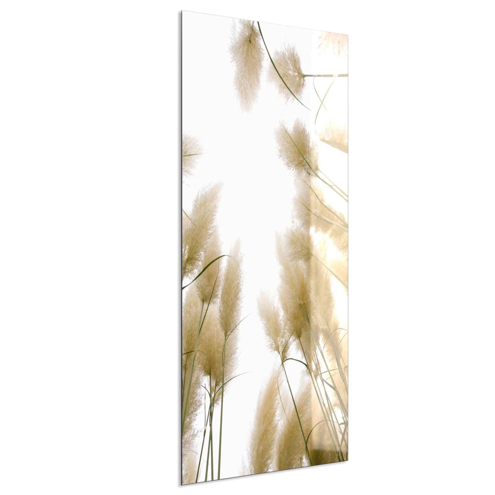 Deko Glas Wandbild Motiv 043H Röhricht