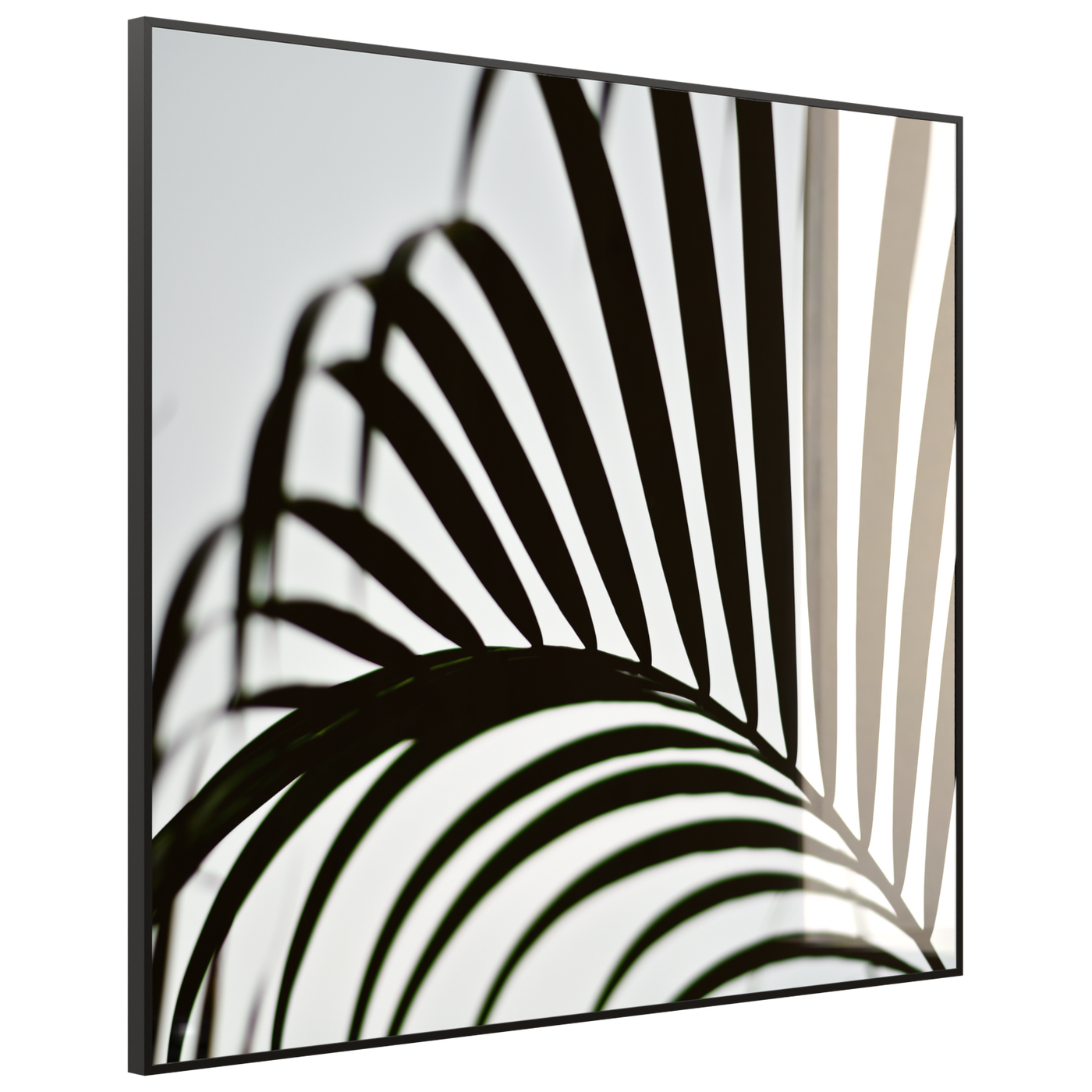 STEINFELD Deko Glas Wandbild Motiv 046 Palmblatt