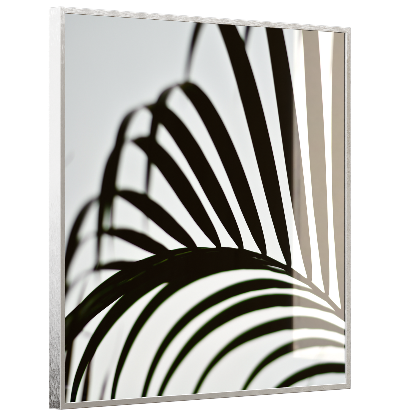 STEINFELD Deko Glas Wandbild Motiv 046 Palmblatt