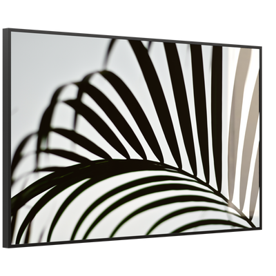 STEINFELD Deko Glas Wandbild Motiv 046 Palmblatt