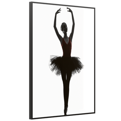 STEINFELD Deko Glas Wandbild Motiv 049H Ballerina