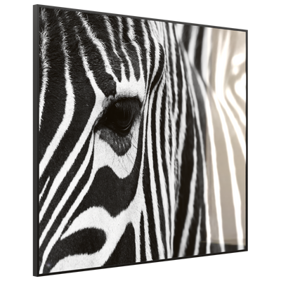 STEINFELD Deko Glas Wandbild Motiv 050 Zebra
