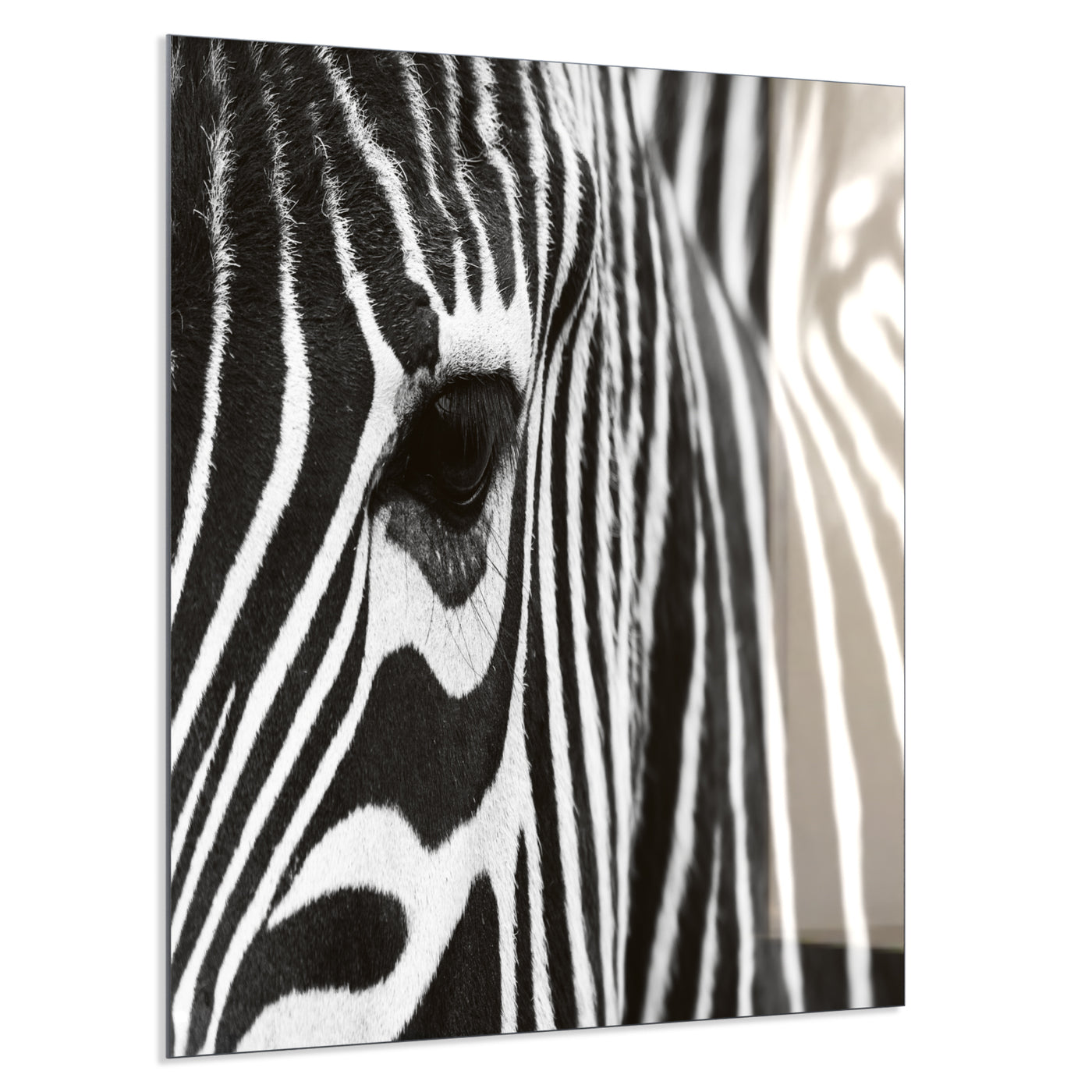 STEINFELD Deko Glas Wandbild Motiv 050 Zebra