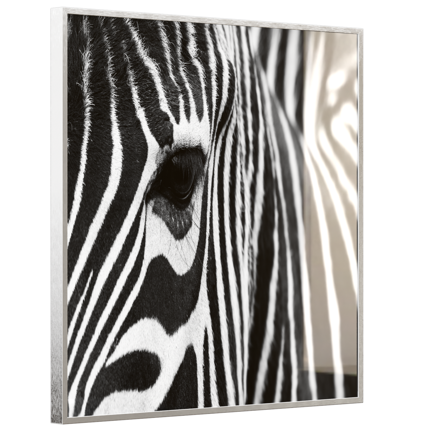 STEINFELD Deko Glas Wandbild Motiv 050 Zebra