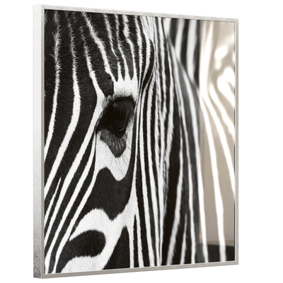 STEINFELD Deko Glas Wandbild Motiv 050 Zebra