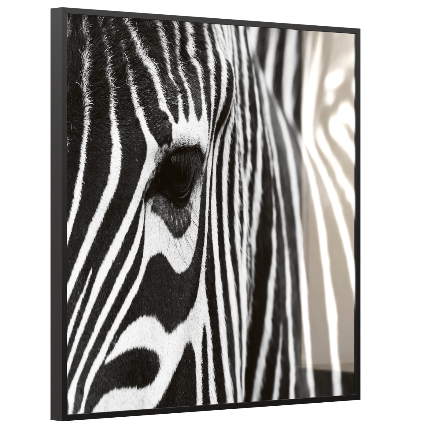STEINFELD Deko Glas Wandbild Motiv 050 Zebra