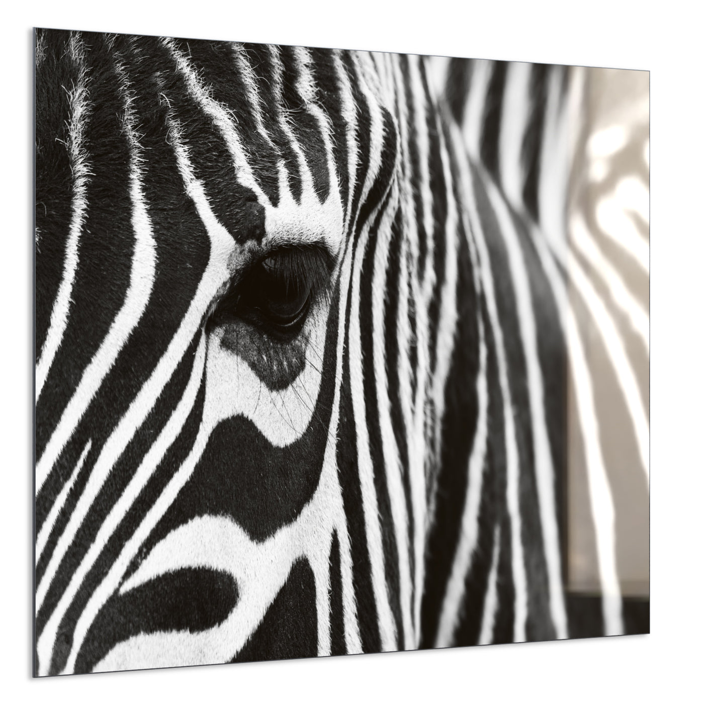 STEINFELD Deko Glas Wandbild Motiv 050 Zebra