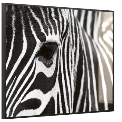 STEINFELD Deko Glas Wandbild Motiv 050 Zebra