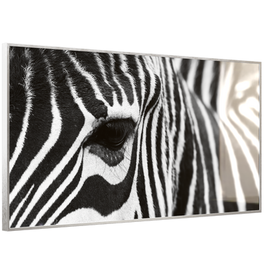 STEINFELD Deko Glas Wandbild Motiv 050 Zebra