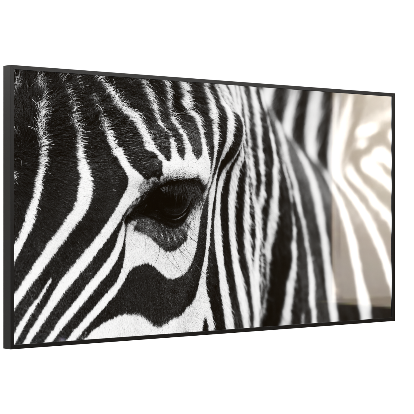 STEINFELD Deko Glas Wandbild Motiv 050 Zebra