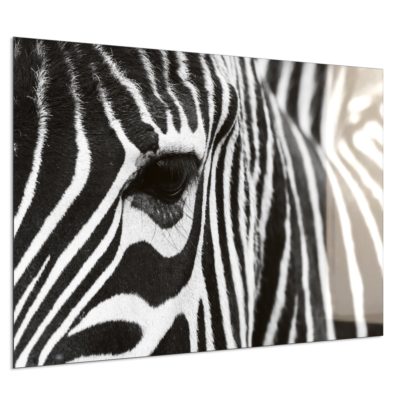 STEINFELD Deko Glas Wandbild Motiv 050 Zebra