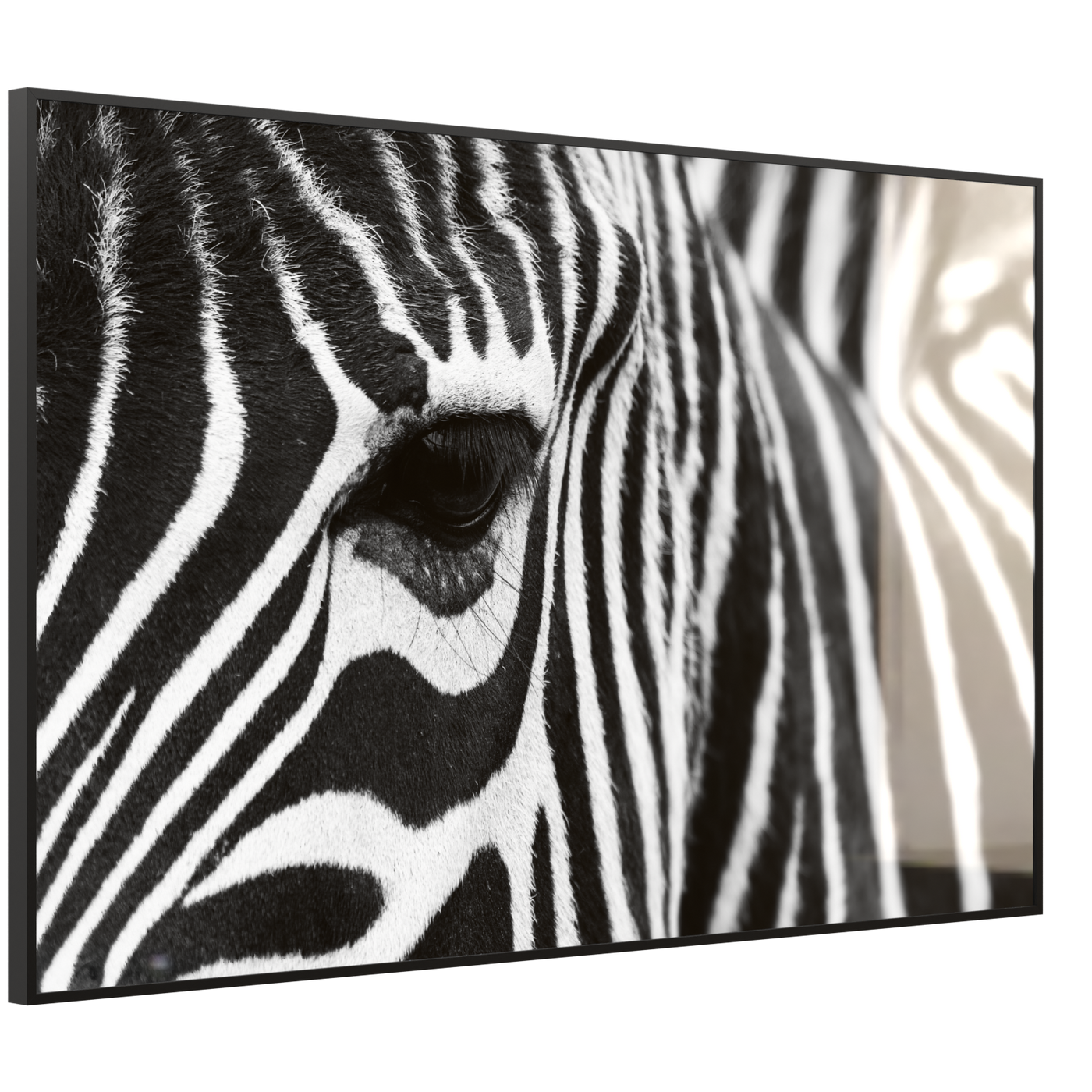 STEINFELD Deko Glas Wandbild Motiv 050 Zebra