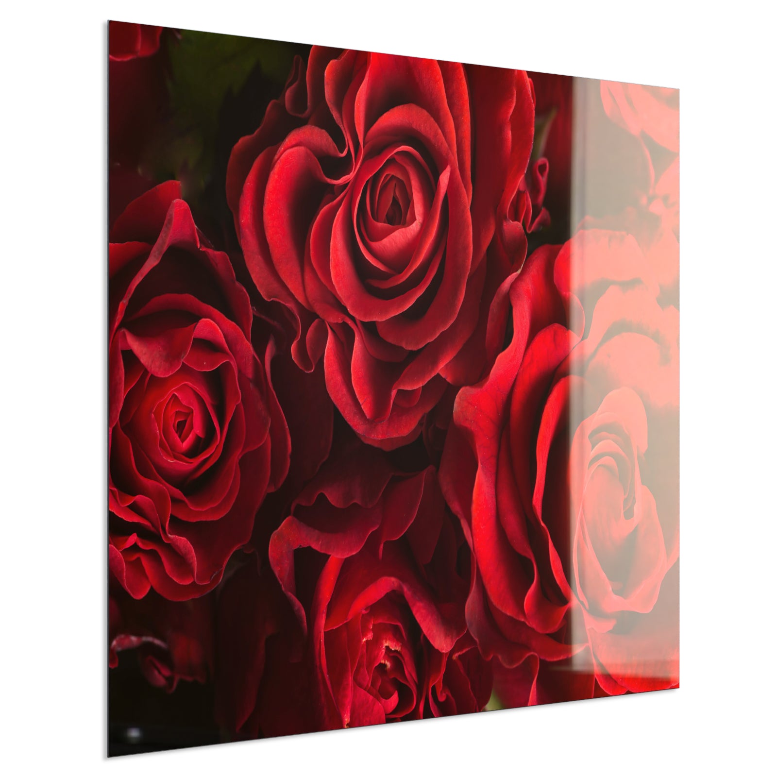 Deko Glas Wandbild Motiv 056 Rote Rosen