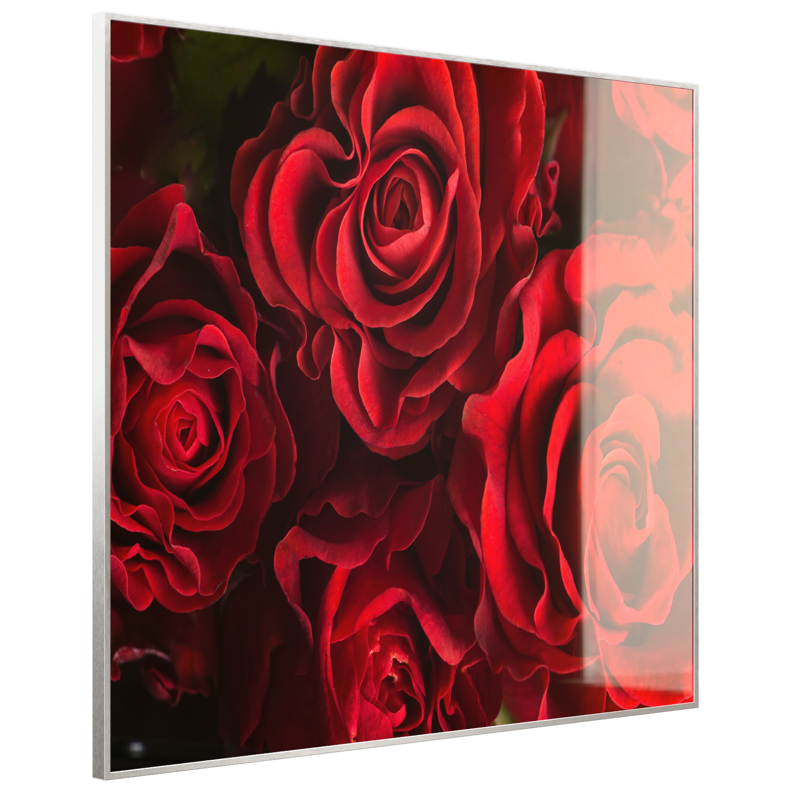 Deko Glas Wandbild Motiv 056 Rote Rosen