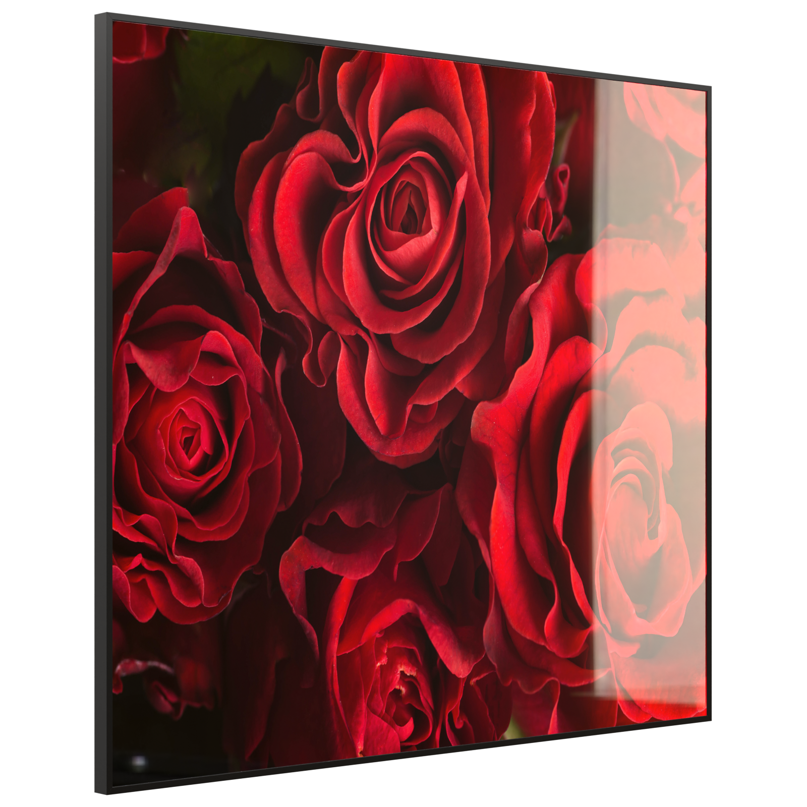 Deko Glas Wandbild Motiv 056 Rote Rosen