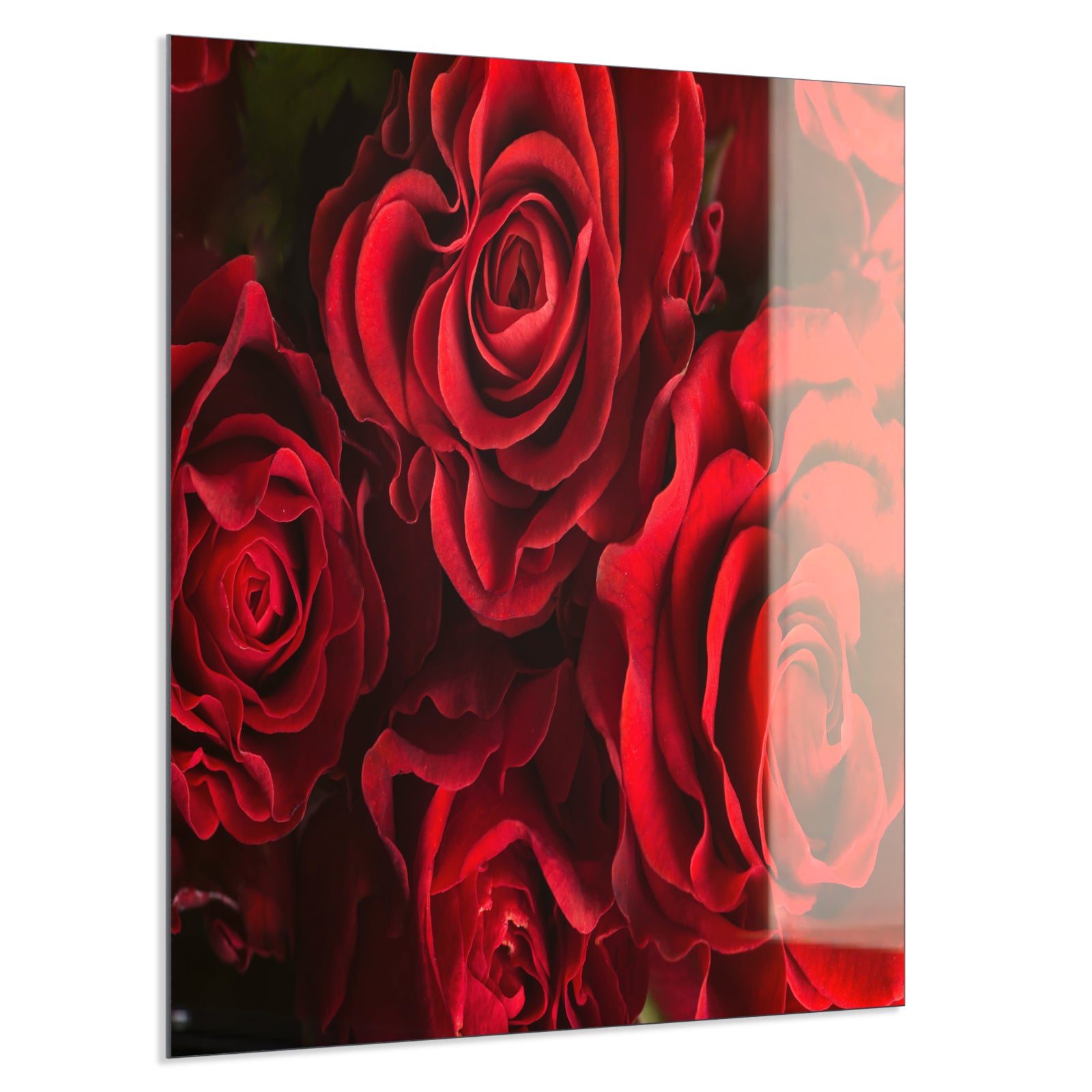 Deko Glas Wandbild Motiv 056 Rote Rosen