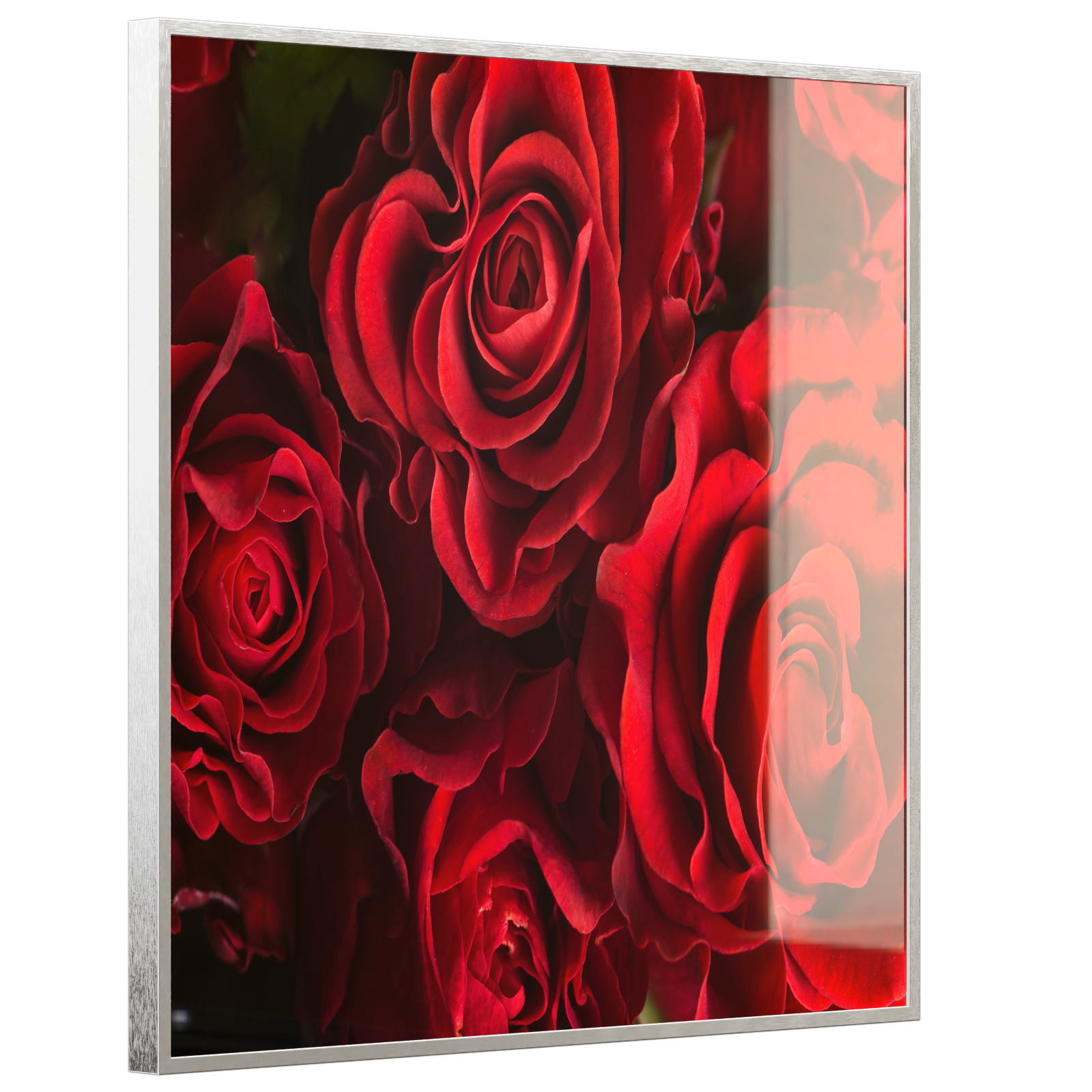 Deko Glas Wandbild Motiv 056 Rote Rosen