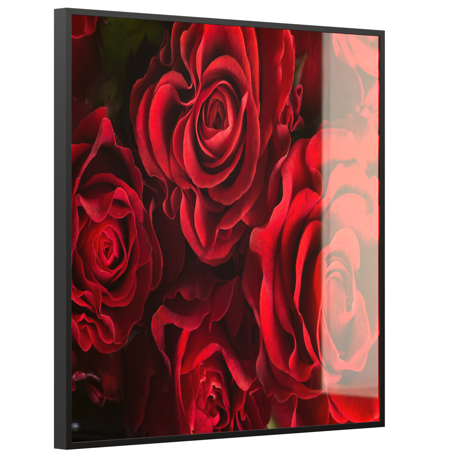 Deko Glas Wandbild Motiv 056 Rote Rosen