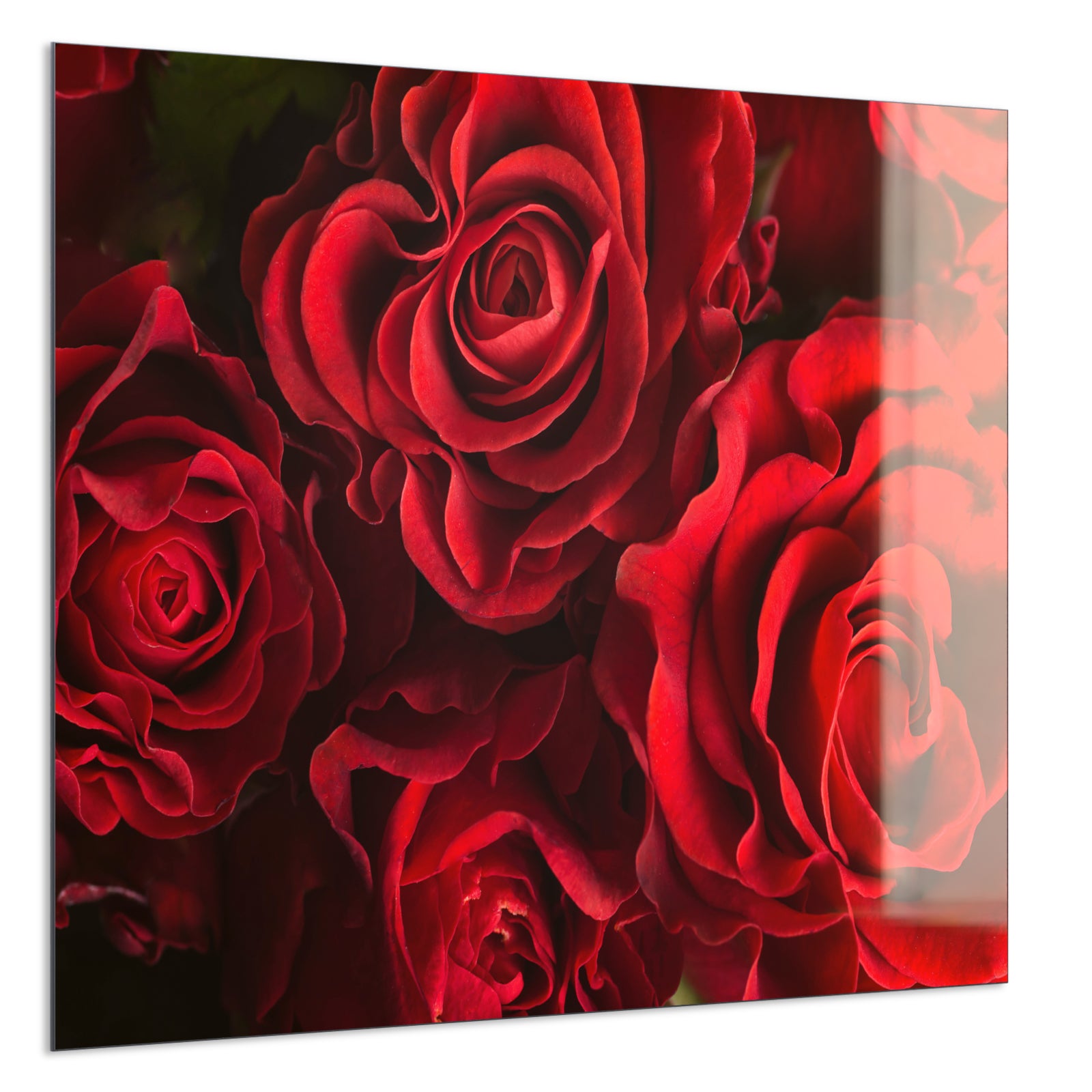 Deko Glas Wandbild Motiv 056 Rote Rosen