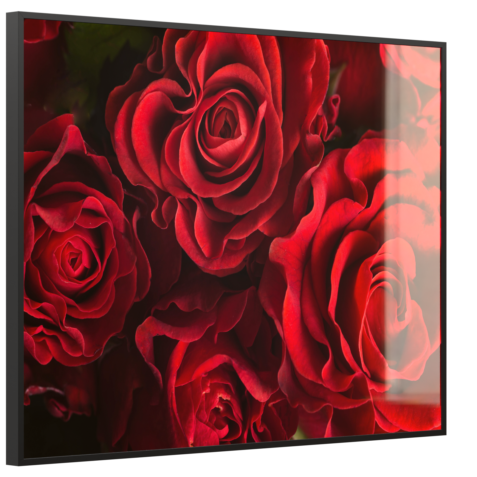 Deko Glas Wandbild Motiv 056 Rote Rosen